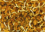 Tradisjonelle Bukkehornsklifr� spiredyktig matfr� 125g