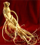 Ginseng Panax �  r� 60g (okt 2013)