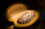 Kakaopulver �  r� 250g (mai 2013)